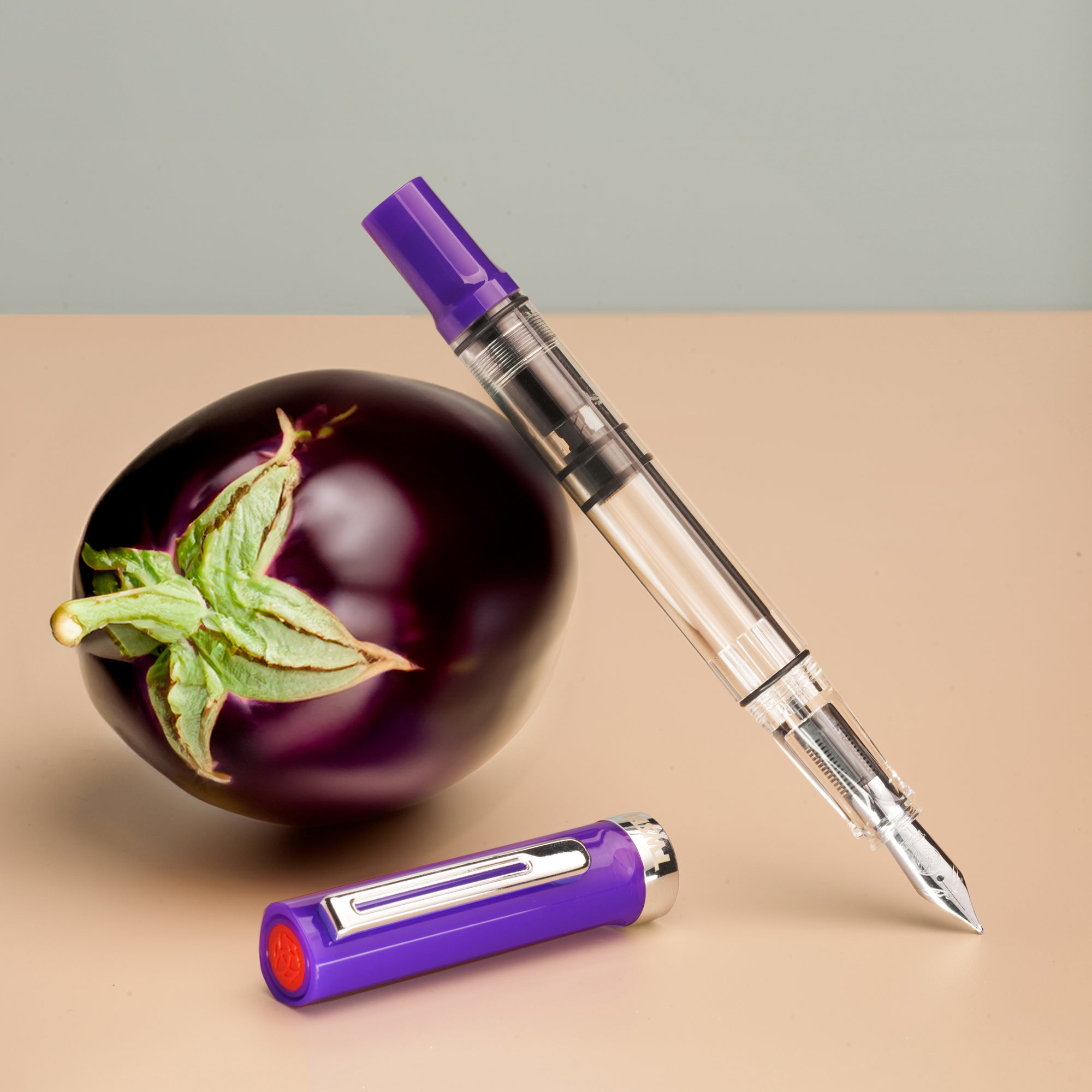 Twsbi ECO-T Fountain Pen - Eggplant Purple (d) – Flax Pen to Paper