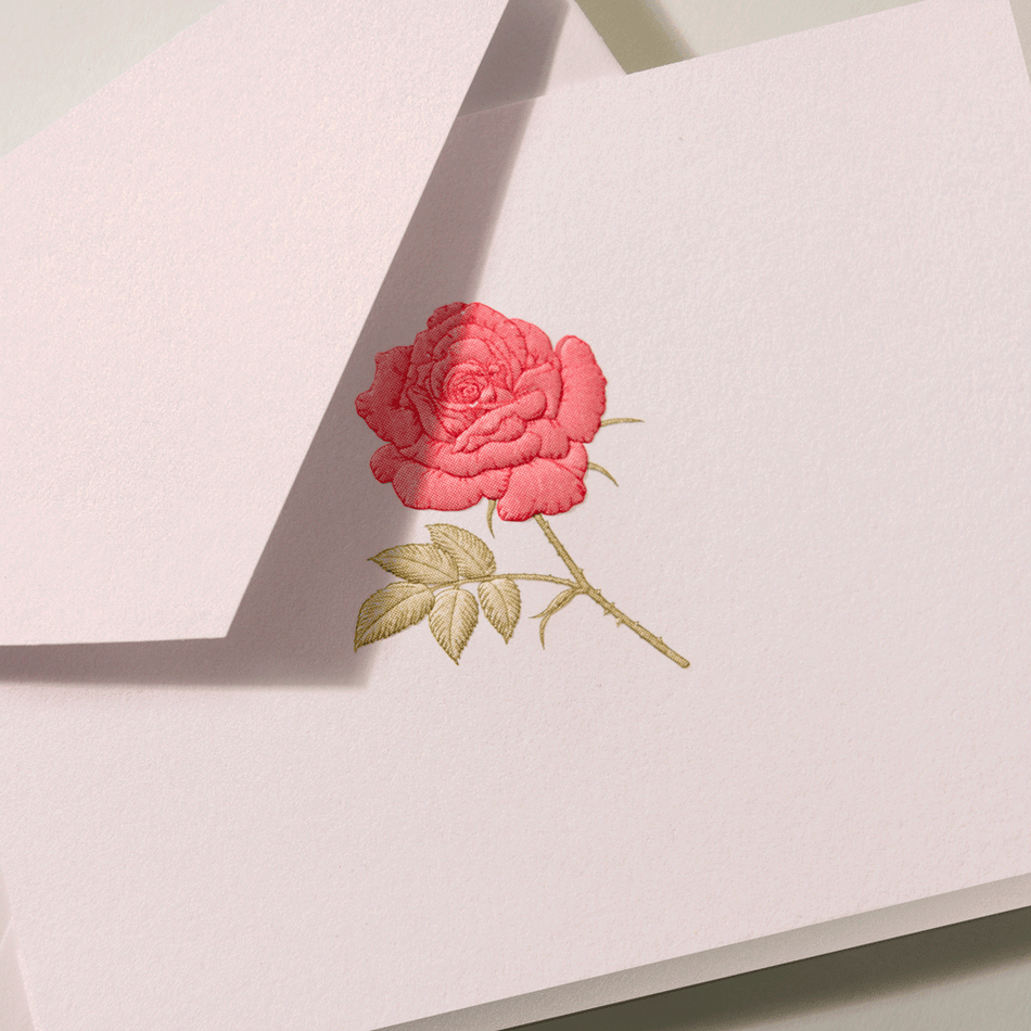Engraved Rose Notes on Light Pink Paper Stationery Set