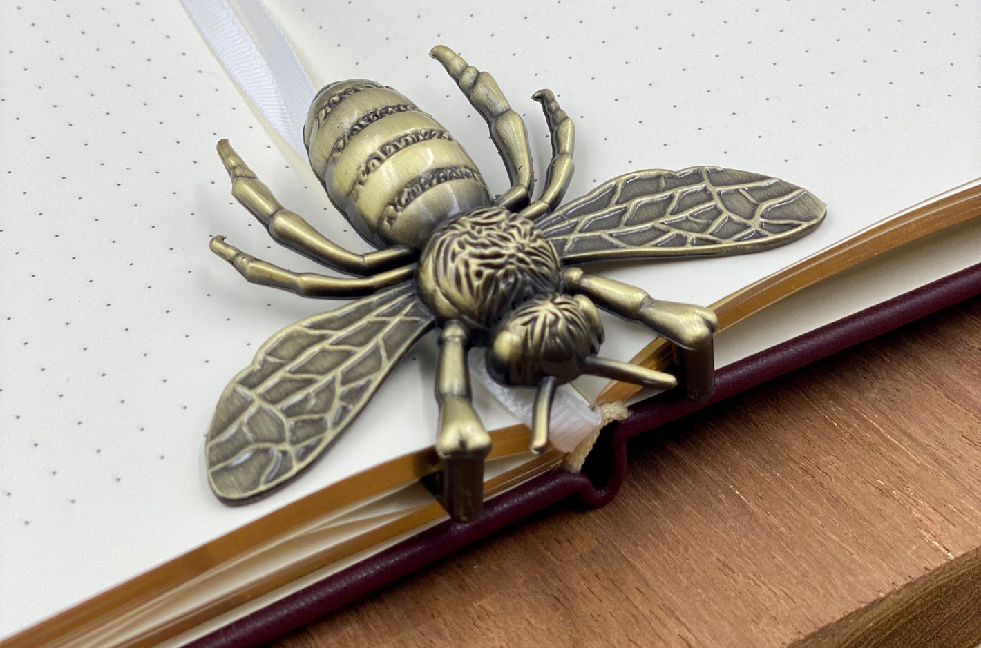 Paper - Accessories