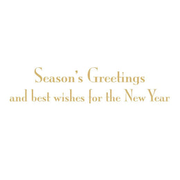 Caspari Botanical Noel And Fretwork Small Boxed Christmas Cards
