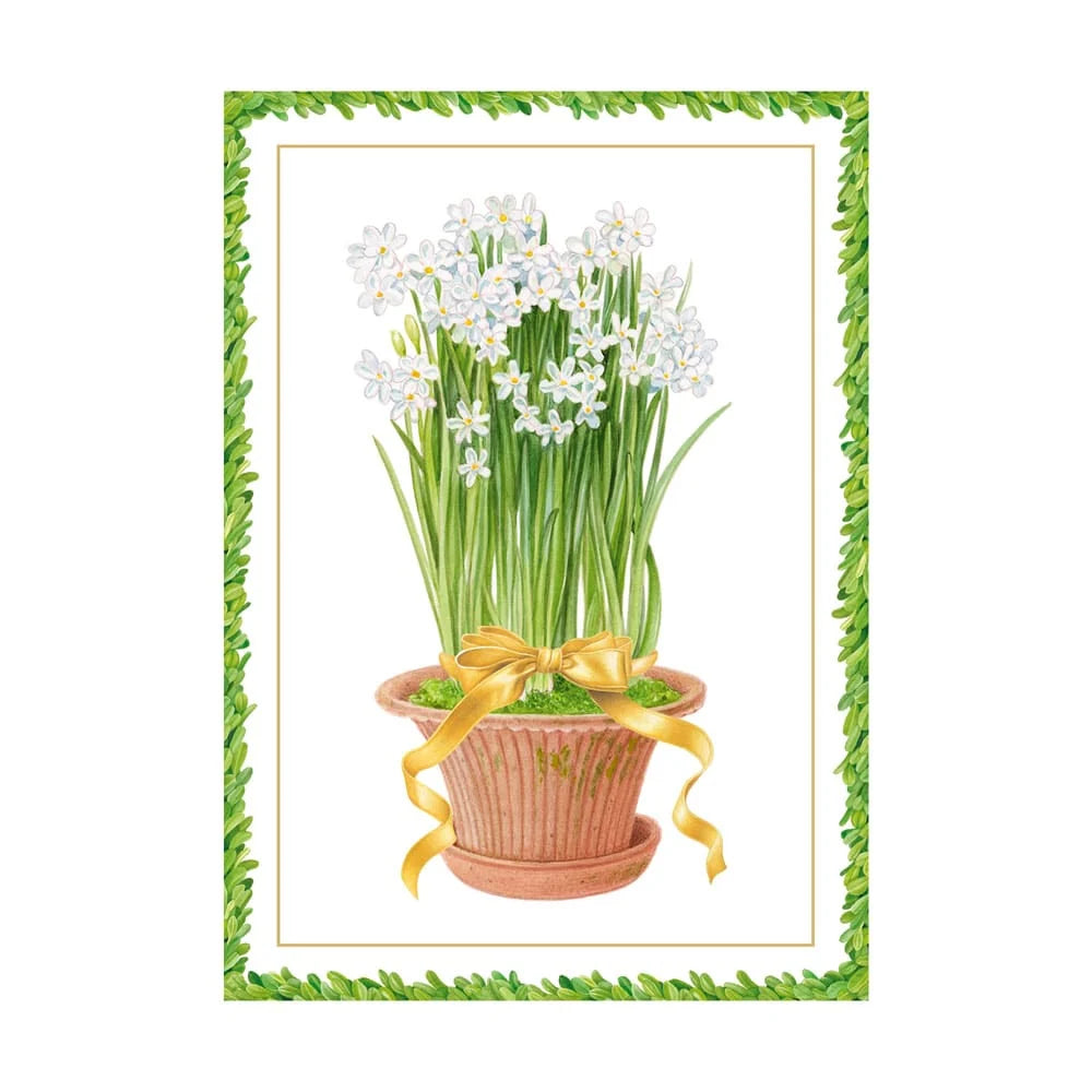 Caspari Potted Narcissus Small Boxed Christmas Cards