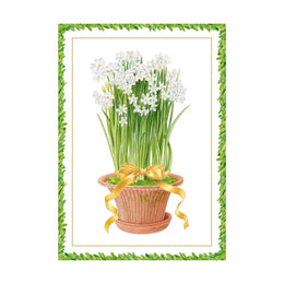 Caspari Potted Narcissus Small Boxed Christmas Cards