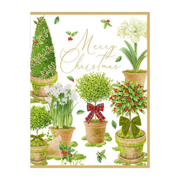 Caspari Winter Topiaries Classic Boxed Christmas Cards