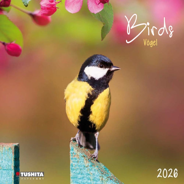 2026 Wall Calendar - Birds Vogel