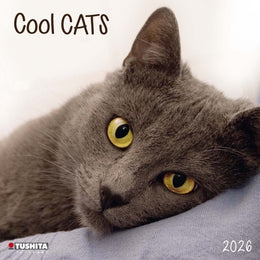 2026 16 Month Wall Calendar - Cool Cats