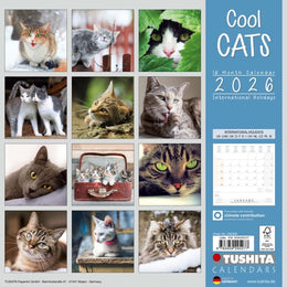 2026 16 Month Wall Calendar - Cool Cats