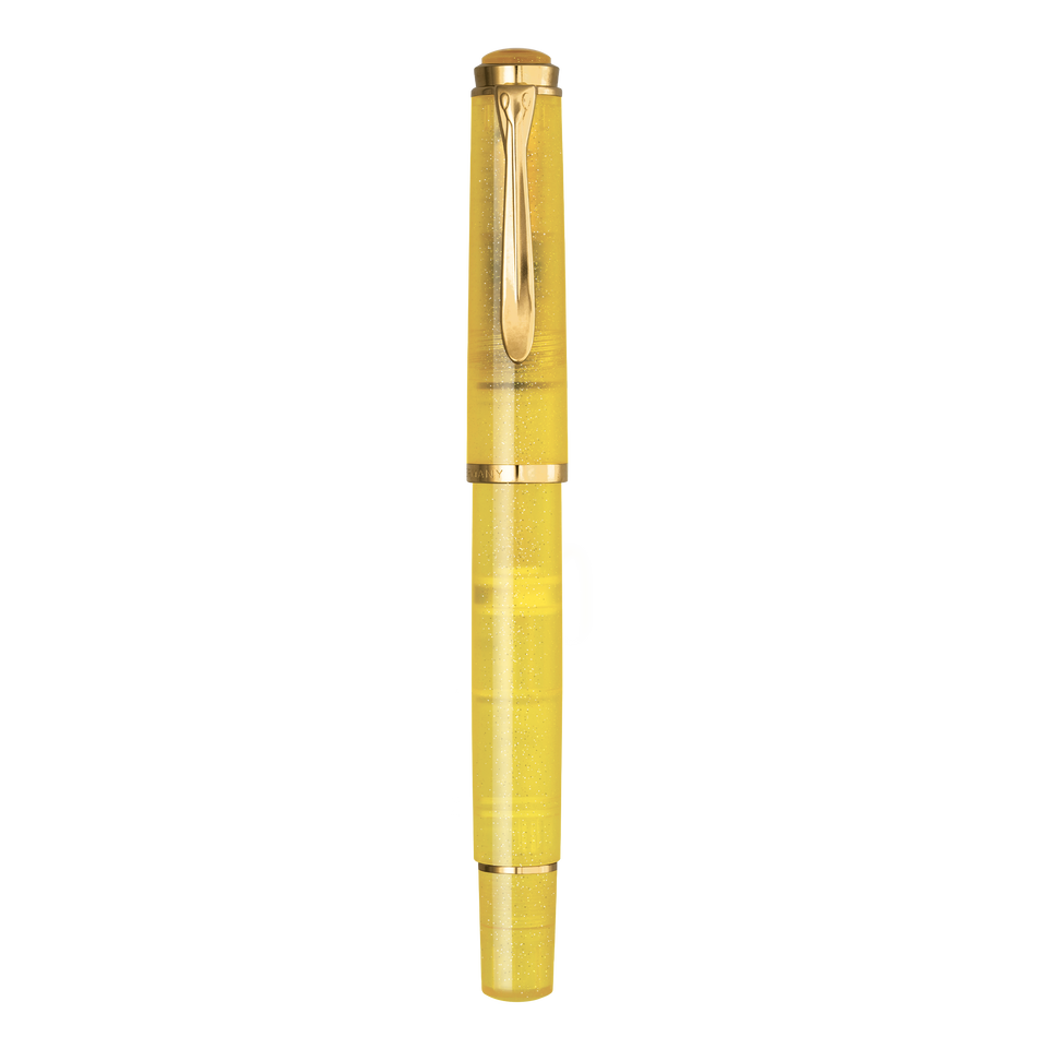 Pelikan Classic 200 Pyrite SE Fountain Pen