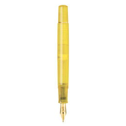 Pelikan Classic 200 Pyrite SE Fountain Pen and Ink Gift Set