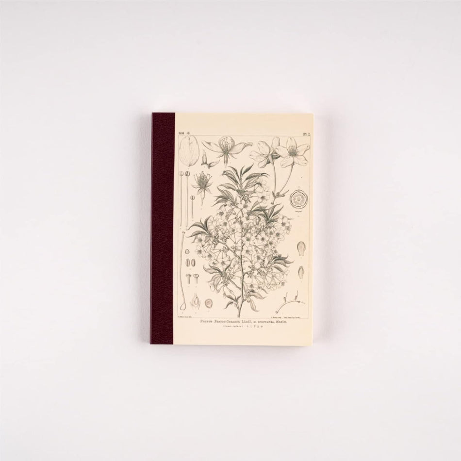 Hobonichi A6 Graph Notebook - Tomitaro Makino: Yamazakura