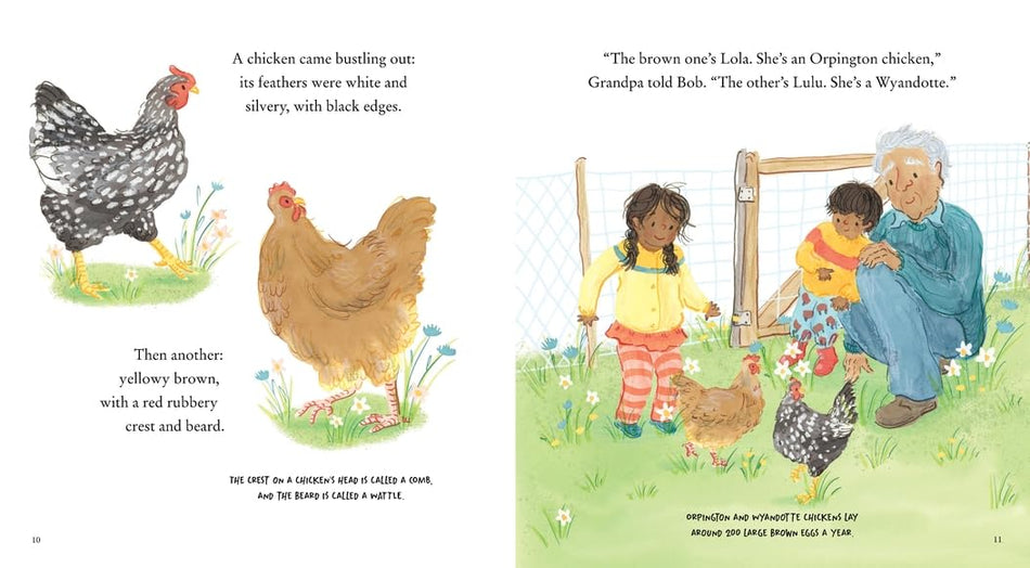 Chick, Chick, Chick, Chicken!