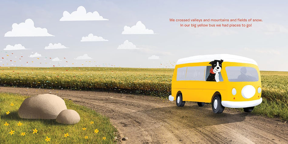 Find Momo Everywhere