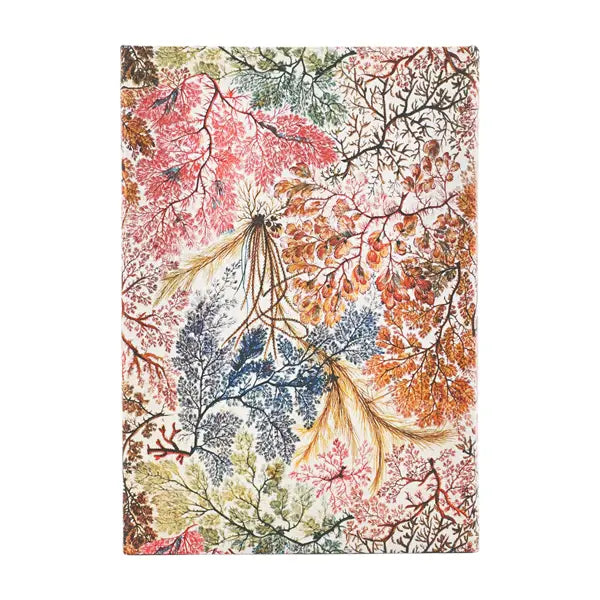 Paperblanks 2026 Midi Weekly - Anemone