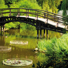 2026 16 Month Wall Calendar - Japanese Garden