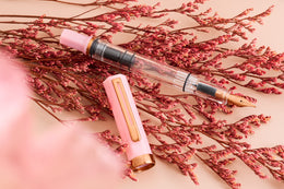 Twsbi ECO Fountain Pen - Pink Lemonade w/Bronze
