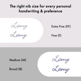 LAMY LX Fountain Pen - Ruthenium