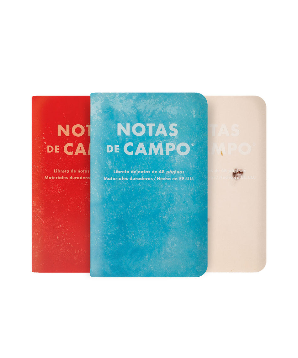 Field Notes Memo Book - Summer 2026 Paletas 3-Pack A (71st Quarterly Limited Edition)