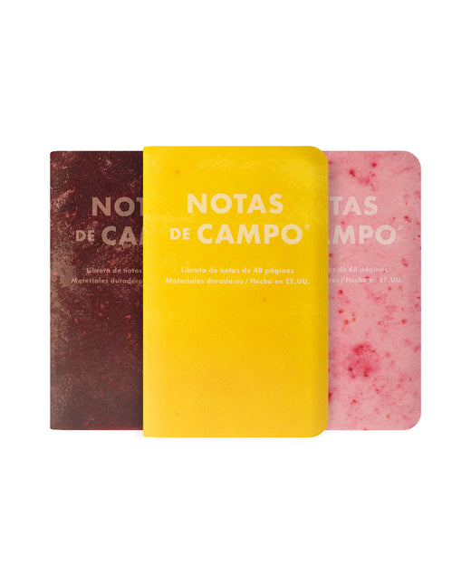 Field Notes Memo Book - Summer 2026 Paletas 3-Pack B (71st Quarterly Limited Edition)
