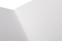 Field Notes Memo Book - Summer 2026 Paletas 3-Pack C (71st Quarterly Limited Edition)