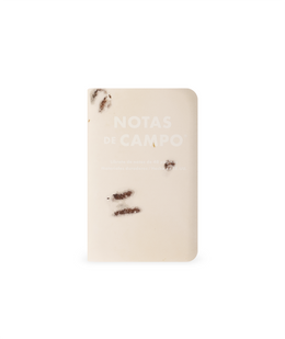 Field Notes Memo Book - Summer 2026 Paletas 3-Pack A (71st Quarterly Limited Edition)