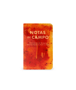 Field Notes Memo Book - Summer 2026 Paletas 3-Pack C (71st Quarterly Limited Edition)