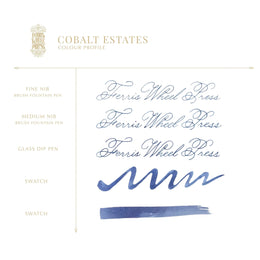 Ferris Wheel Press Fountain Pen Ink (38 mL) - Cobalt Estates