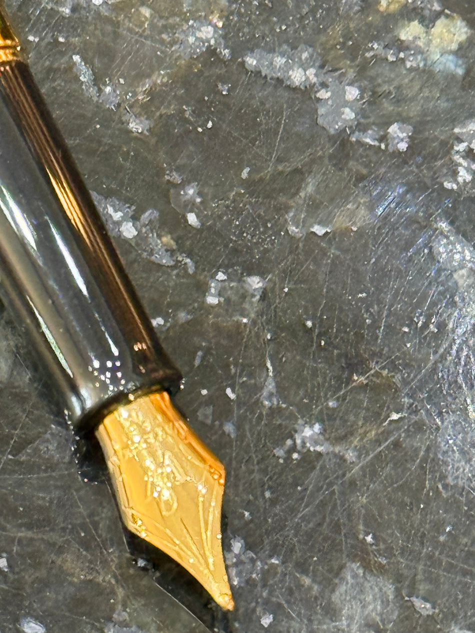 Pilot Vintage fountain Pen - Broad Nib PRE-LOVED