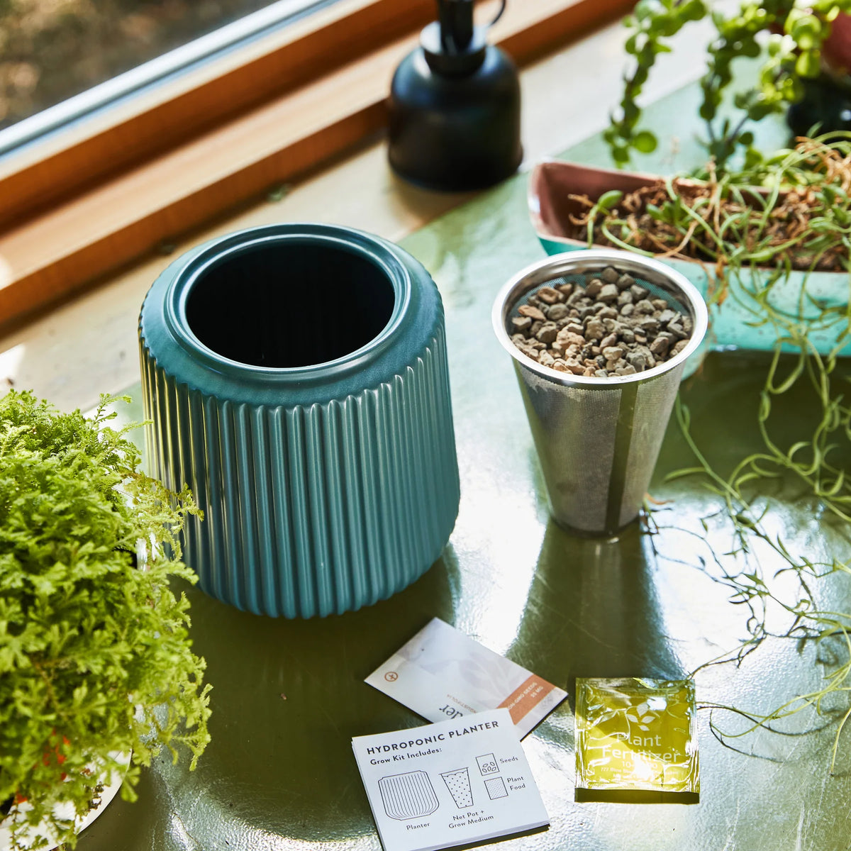 modern sprout hydroponic planter Daisy Daydream Flower Grow Kits