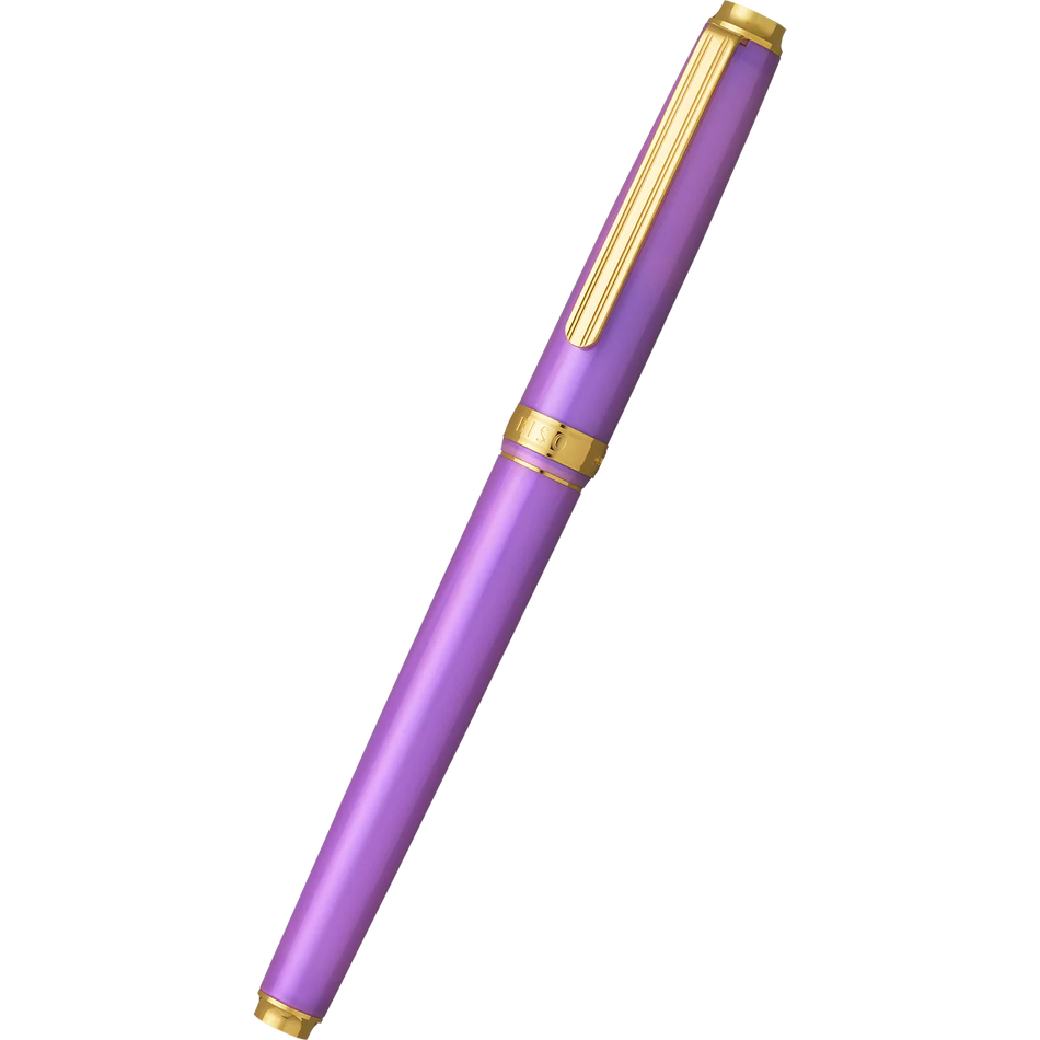 Platinum Biso Fountain Pen - Mystic Purple