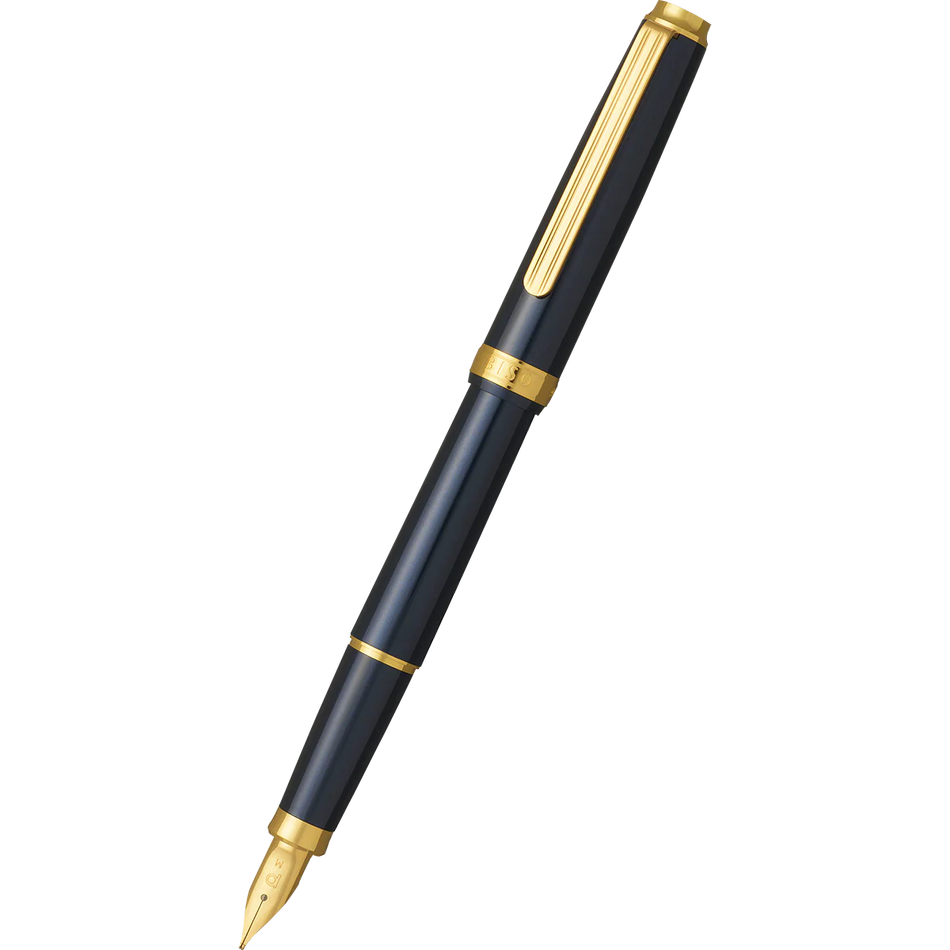 Platinum Biso Fountain Pen - Nebula Black