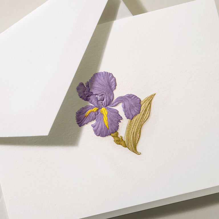 Crane Iris Note