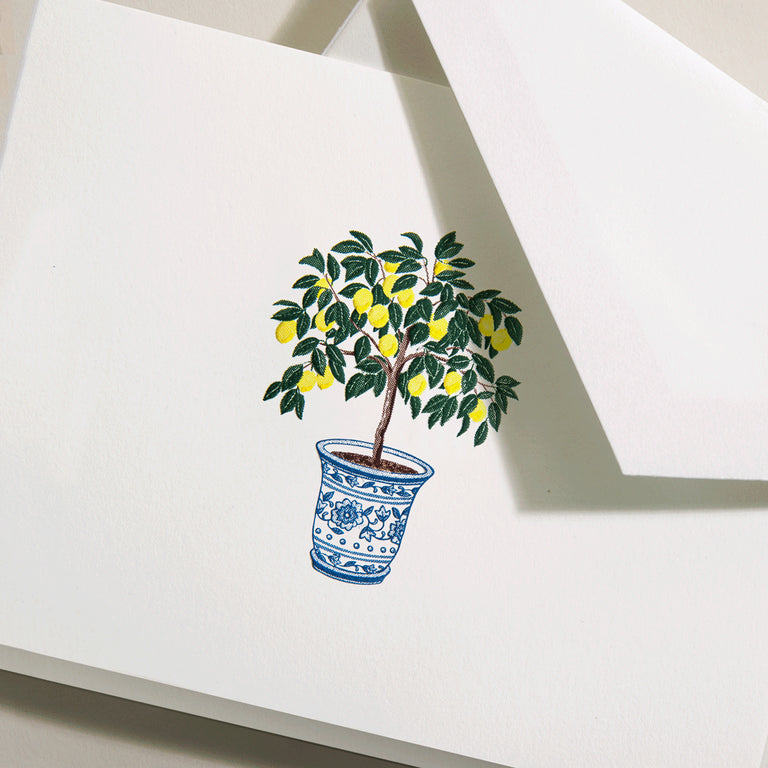 Crane Classic Notes - Potted Lemon Tree