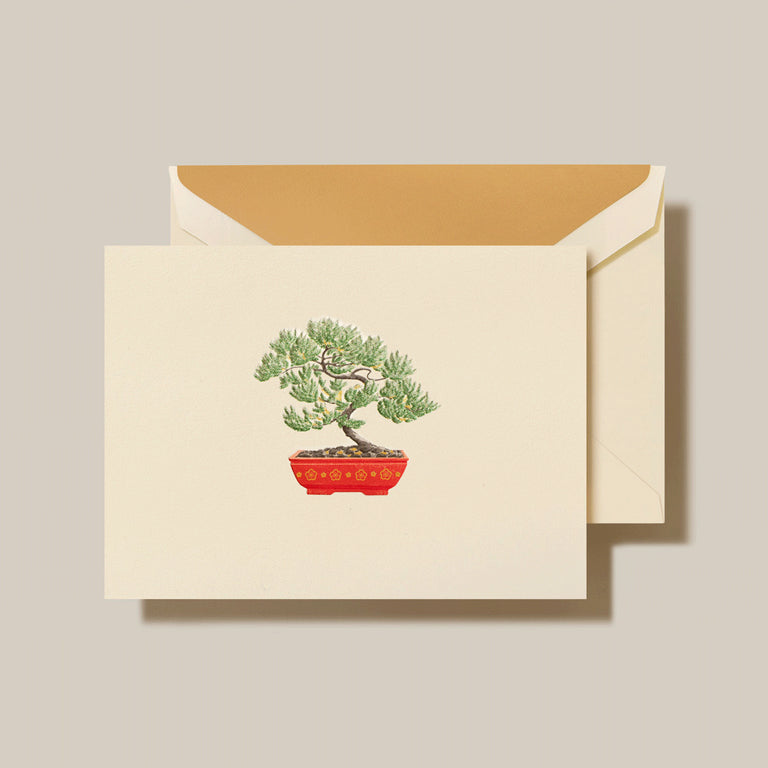 Crane Folded Notes - Potted Bonsai Tree