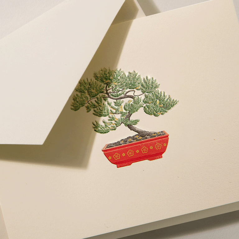 Crane Folded Notes - Potted Bonsai Tree