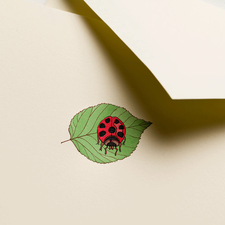 Crane Ladybug on Leaf Note