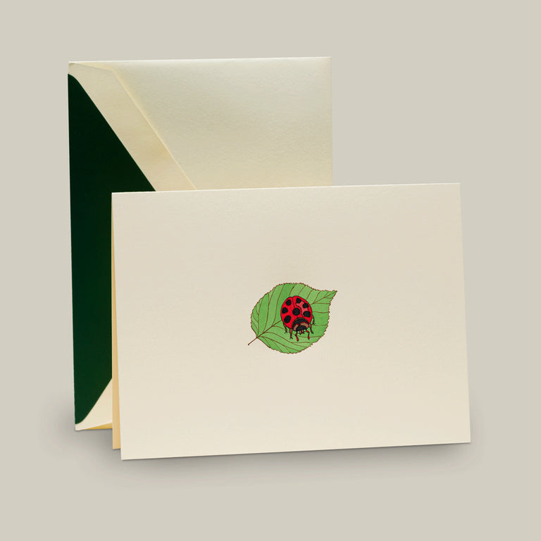 Crane Ladybug on Leaf Note
