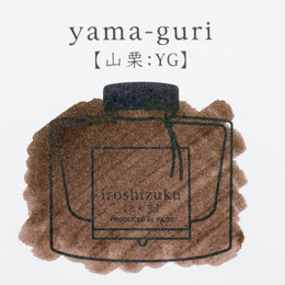 Pilot Iroshizuku Bottled Fountain Pen Ink (15ml) - yama-guri