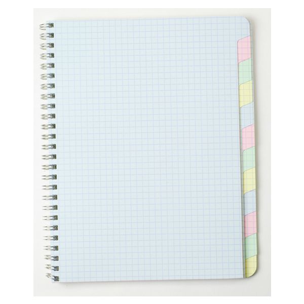Clairefontaine Assorted Wirebound Multi-Subject With Tabs 6x8 Graph