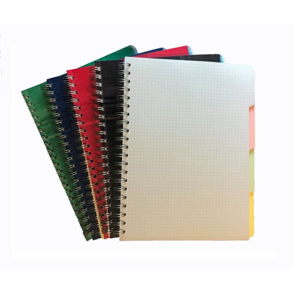 Clairefontaine Assorted Wirebound Multi-Subject 8x11 Graph