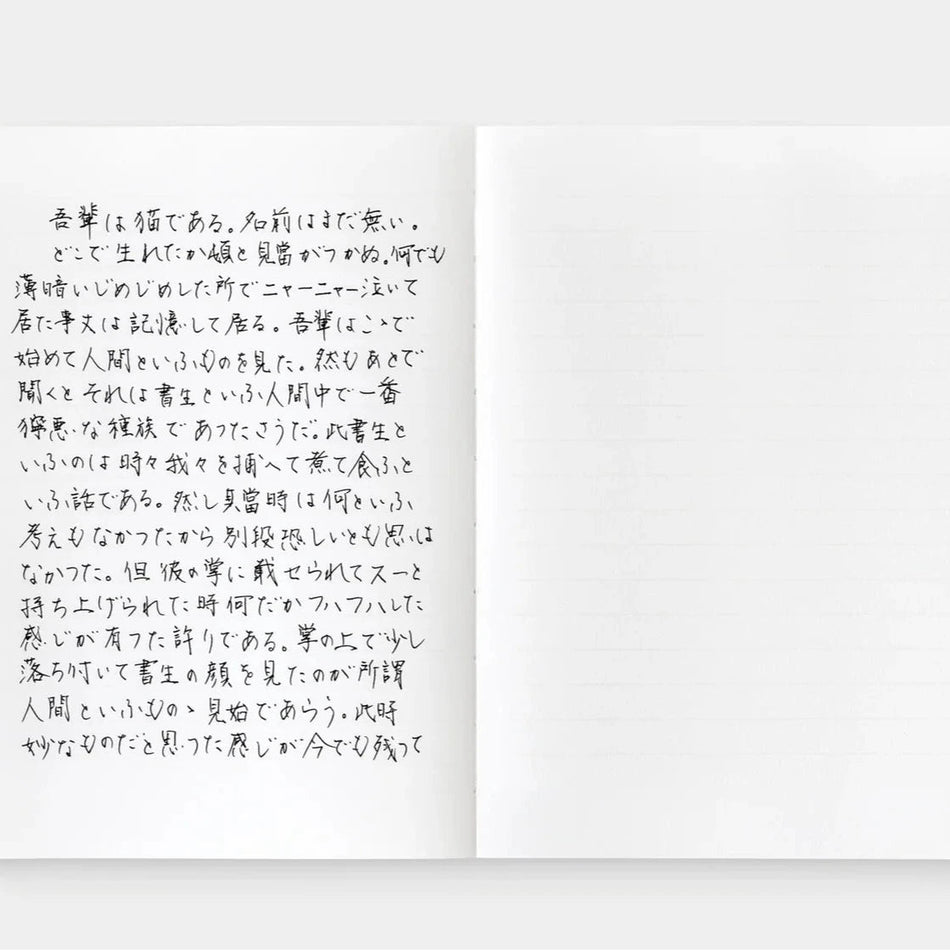 Information Architects - Watermarked Notebook For Writers