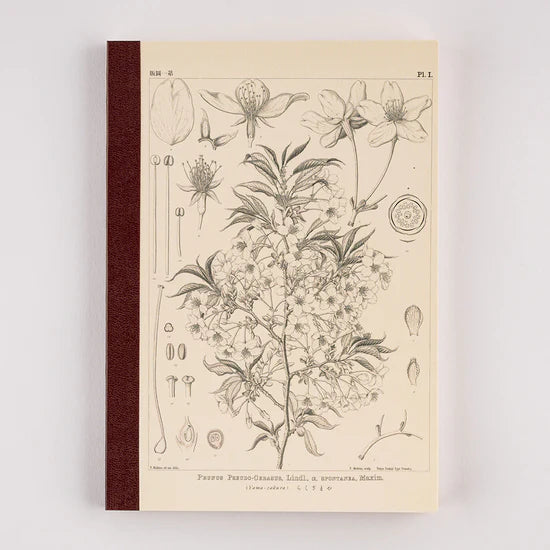 Hobonichi A5 Graph Notebook - Tomitaro Makino: Yamazakura