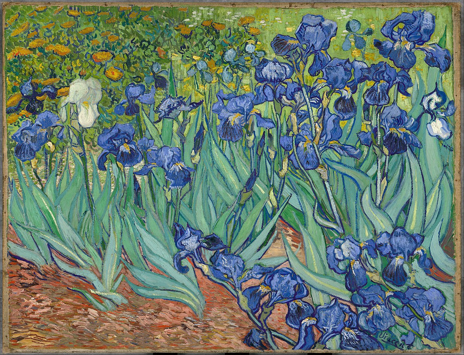 Visconti Van Gogh Ballpoint - Iris