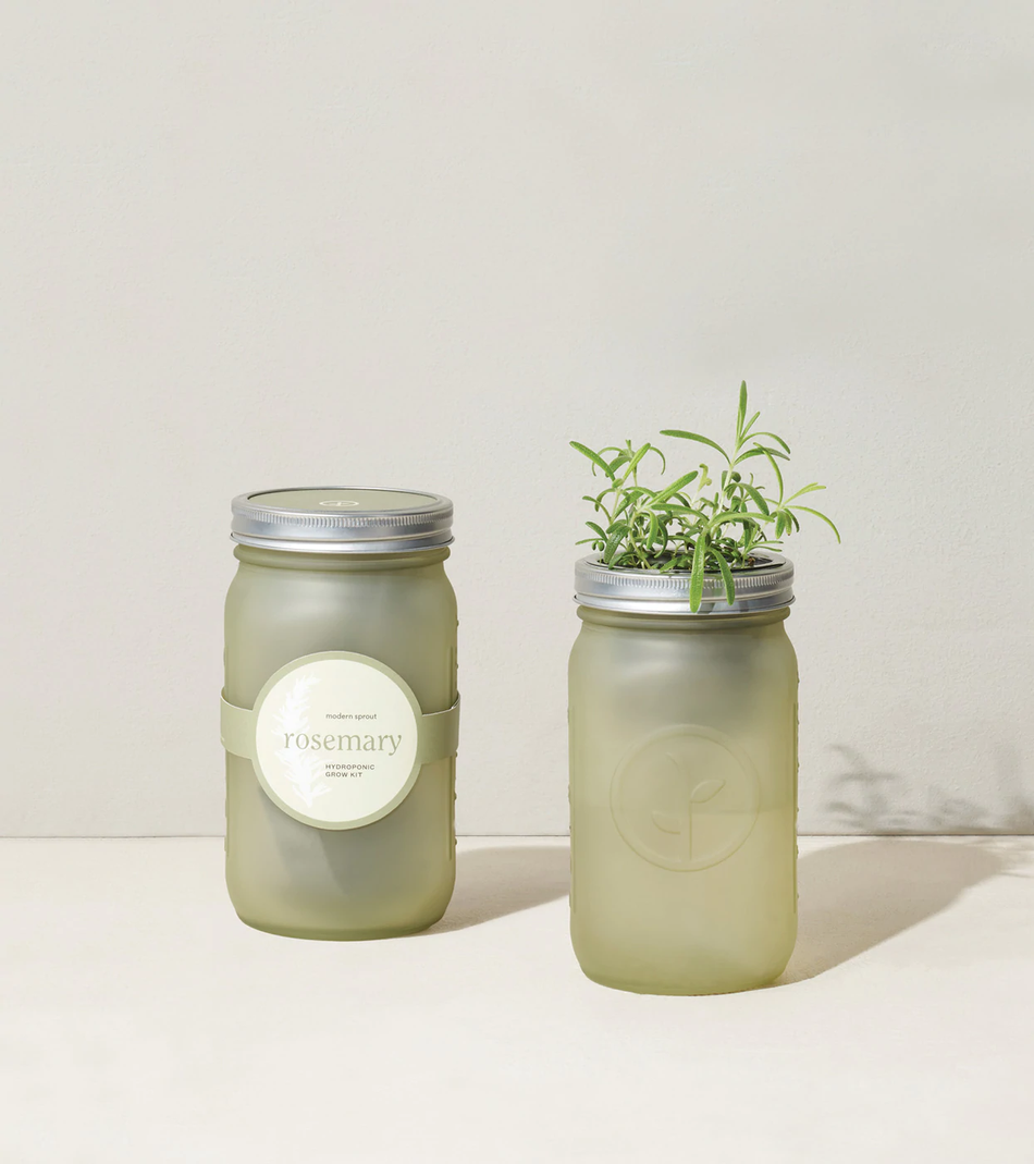 Rosemary Garden Jar - Indoor Herb Growing Kit