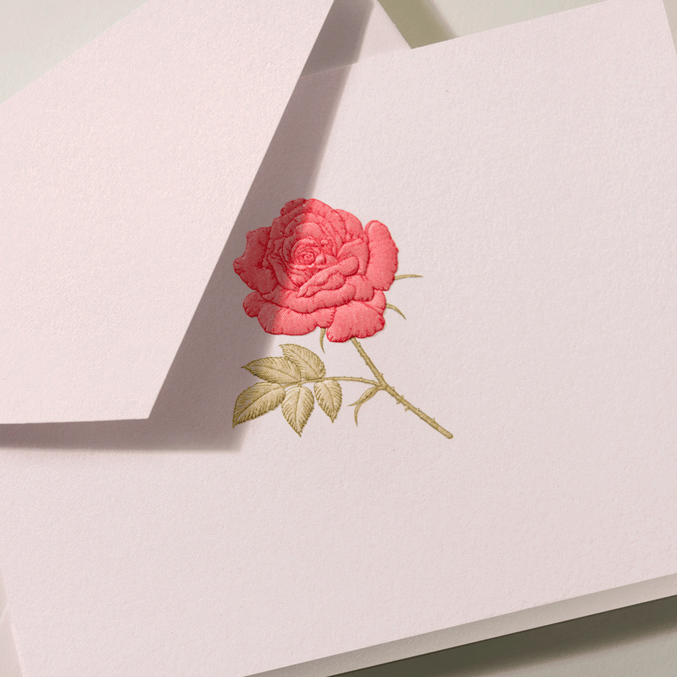 Engraved Rose Notes on Light Pink Paper Stationery Set