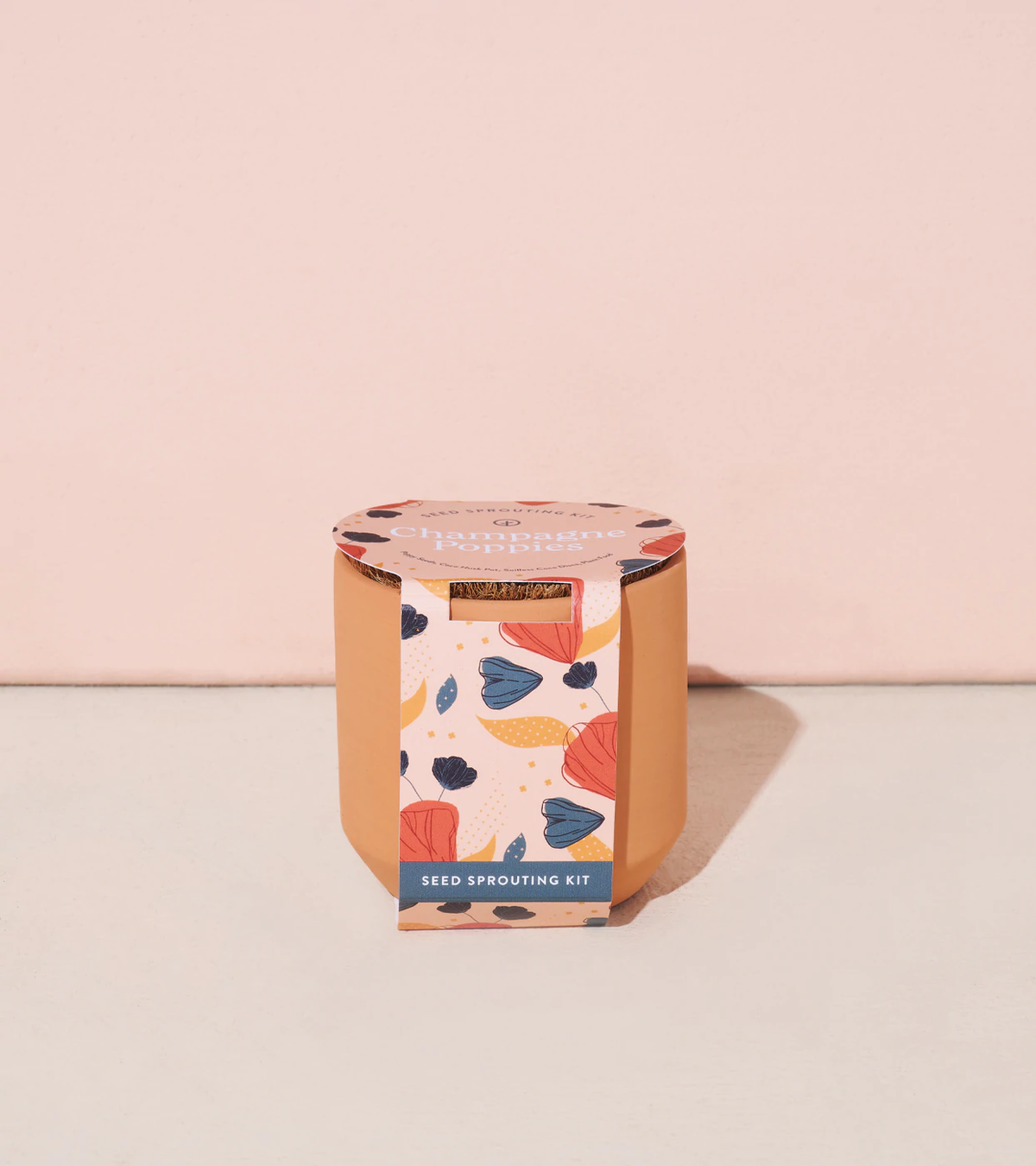 Champagne Poppies Terracotta Plant Growing Kit Flax Pen to Paper